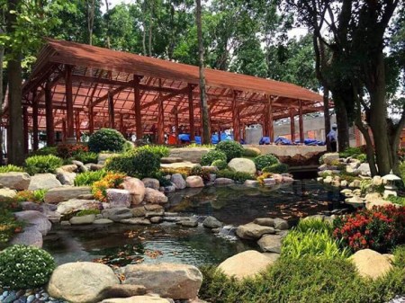 Thiết kế thi công hồ cá Koi - Công Ty TNHH Sân Vườn Việt Hoa Viên